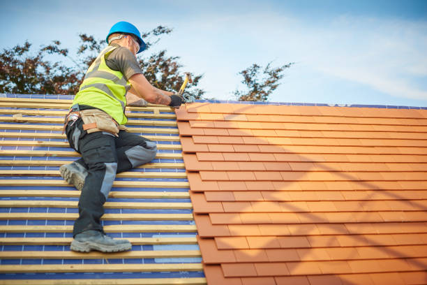 Best Roof Maintenance and Cleaning  in Sebring, OH